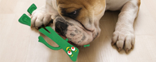 Multipet Gumby Rubber Dog Toy Usage